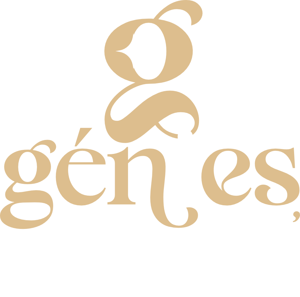 Logo Genies and co menage toulouse